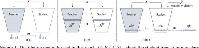 Figure 1 for What Knowledge Gets Distilled in Knowledge Distillation?