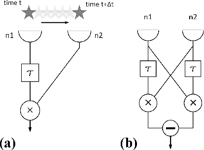 Figure 1 for Evolution leads to a diversity of motion-detection neuronal circuits