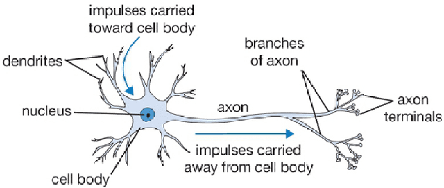 Figure 3 for A deep learning theory for neural networks grounded in physics