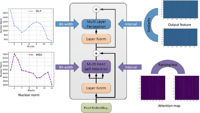 Figure 1 for Post-Training Quantization for Vision Transformer