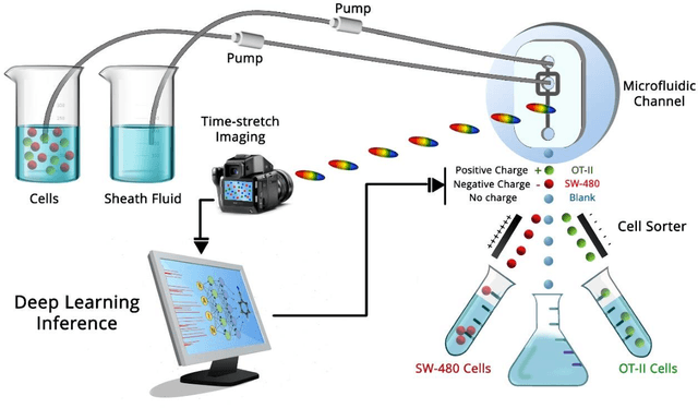 Figure 4 for Biosensors and Machine Learning for Enhanced Detection, Stratification, and Classification of Cells: A Review