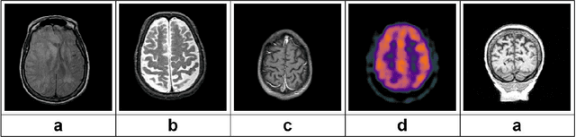 Figure 4 for Resource-efficient domain adaptive pre-training for medical images