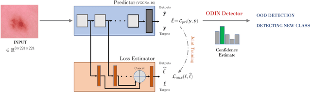 Figure 1 for Loss Estimators Improve Model Generalization