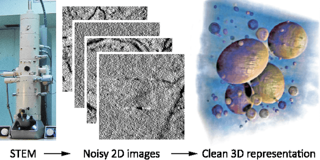 Figure 1 for Clean Implicit 3D Structure from Noisy 2D STEM Images