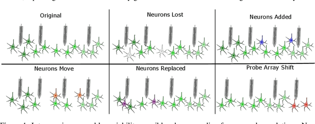 Figure 1 for Capturing cross-session neural population variability through self-supervised identification of consistent neuron ensembles
