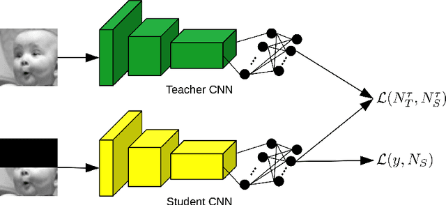 Figure 1 for Teacher-Student Training and Triplet Loss for Facial Expression Recognition under Occlusion