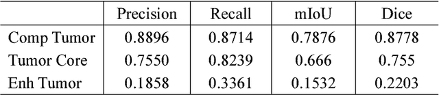 Figure 2 for Brain Tumor Segmentation Based on Refined Fully Convolutional Neural Networks with A Hierarchical Dice Loss