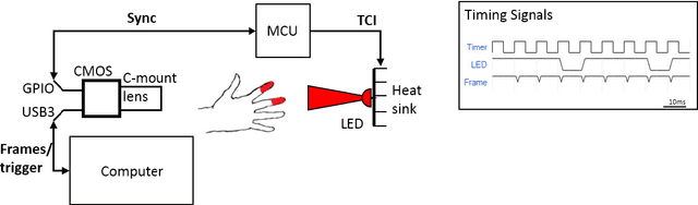 Figure 1 for Non-contact transmittance photoplethysmographic imaging (PPGI) for long-distance cardiovascular monitoring
