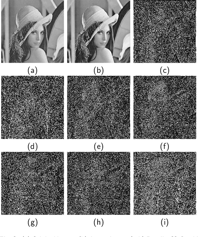 Figure 3 for WSMN: An optimized multipurpose blind watermarking in Shearlet domain using MLP and NSGA-II