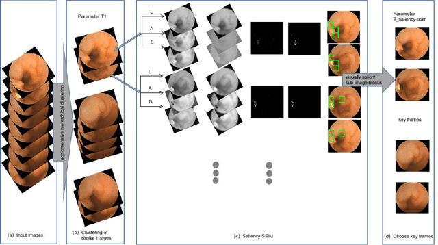 Figure 1 for Application of Structural Similarity Analysis of Visually Salient Areas and Hierarchical Clustering in the Screening of Similar Wireless Capsule Endoscopic Images