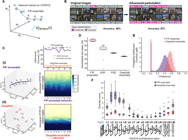 Figure 4 for Engineering flexible machine learning systems by traversing functionally invariant paths in weight space