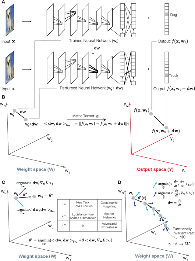 Figure 1 for Engineering flexible machine learning systems by traversing functionally invariant paths in weight space