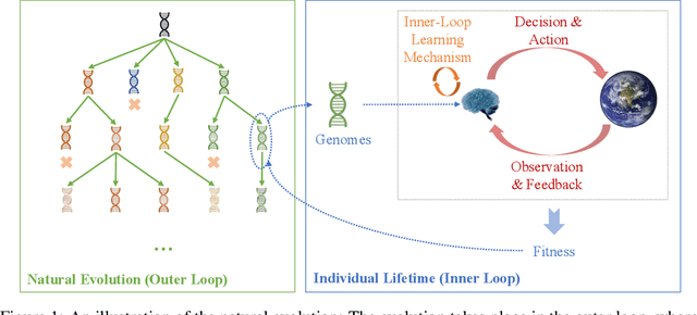 Figure 1 for Do What Nature Did To Us: Evolving Plastic Recurrent Neural Networks For Task Generalization