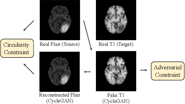 Figure 3 for Harmonic Unpaired Image-to-image Translation