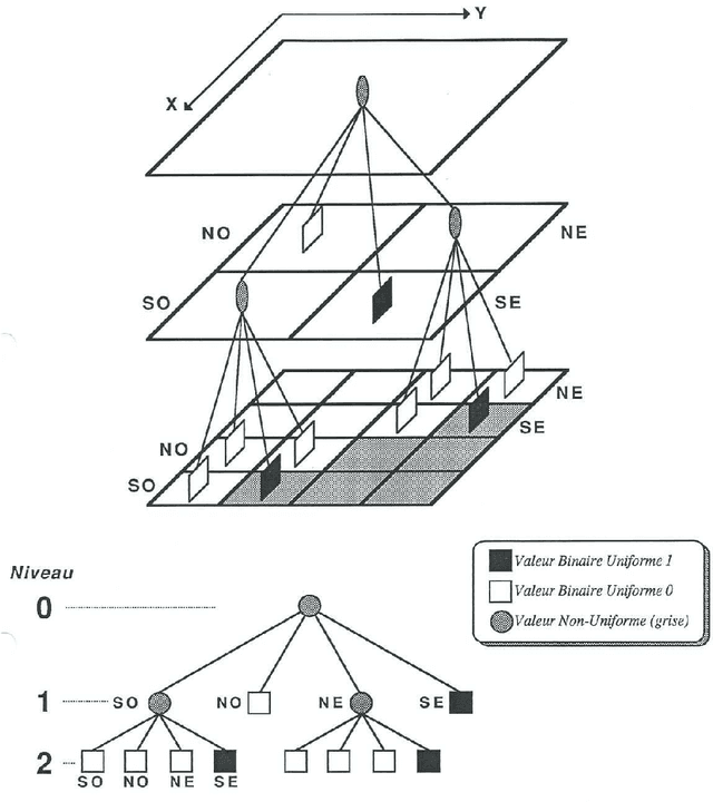 Figure 1 for Hierarchical Modeling of Multidimensional Data in Regularly Decomposed Spaces: Main Principles