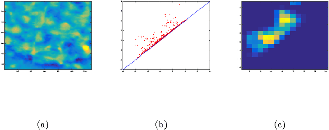 Figure 1 for Topological descriptors for 3D surface analysis