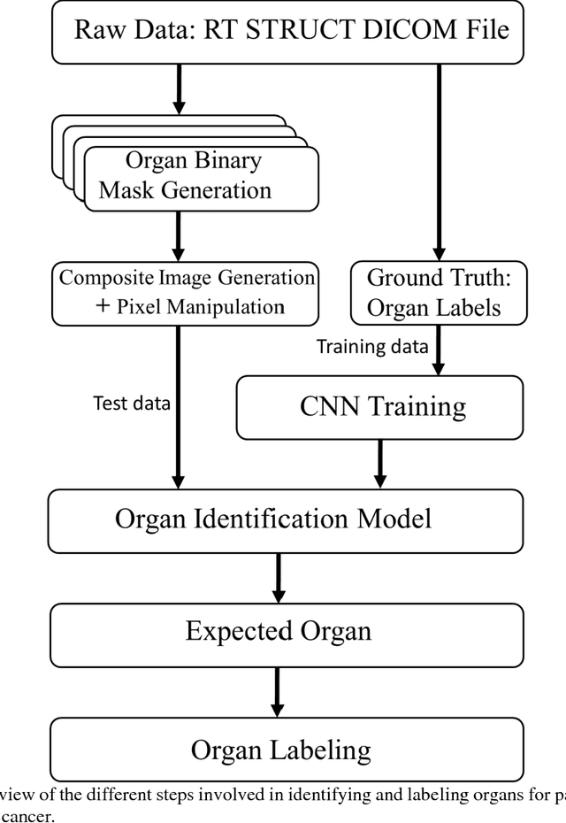 Figure 3 for Towards automated patient data cleaning using deep learning: A feasibility study on the standardization of organ labeling