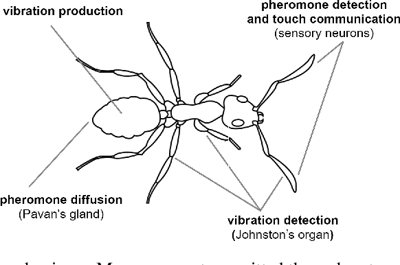 Figure 1 for PheroCom: Decentralised and asynchronous swarm robotics coordination based on virtual pheromone and vibroacoustic communication