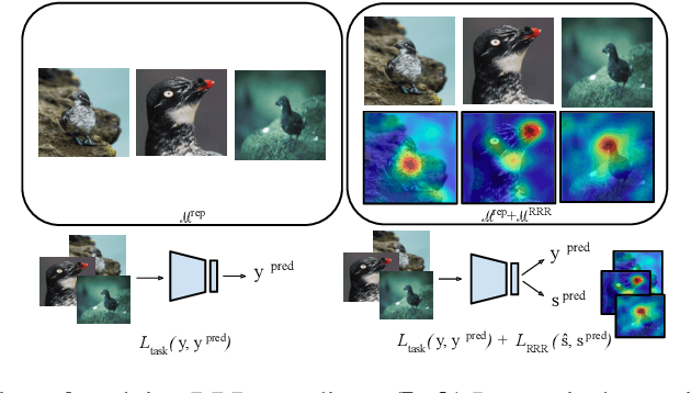 Figure 1 for Remembering for the Right Reasons: Explanations Reduce Catastrophic Forgetting
