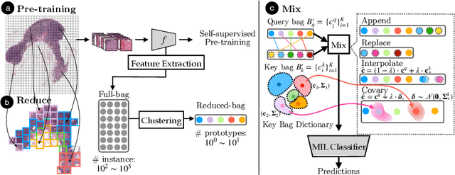 Figure 1 for ReMix: A General and Efficient Framework for Multiple Instance Learning based Whole Slide Image Classification