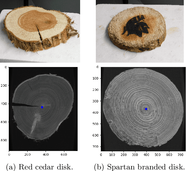 Figure 1 for Automatic Tree Ring Detection using Jacobi Sets