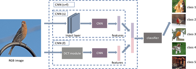 Figure 1 for Few-Shot Learning by Integrating Spatial and Frequency Representation