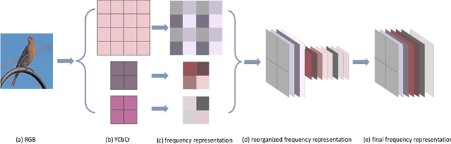 Figure 2 for Few-Shot Learning by Integrating Spatial and Frequency Representation