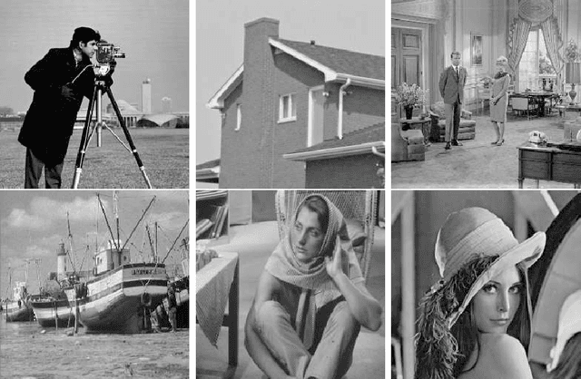 Figure 3 for A wavelet frame coefficient total variational model for image restoration