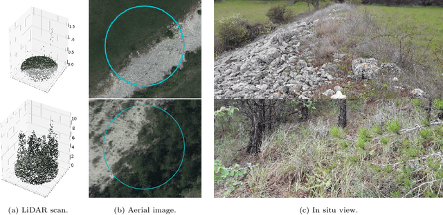 Figure 1 for Predicting Vegetation Stratum Occupancy from Airborne LiDAR Data with Deep Learning