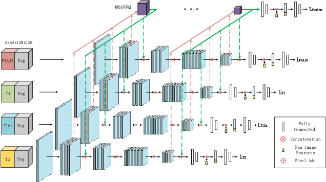 Figure 1 for MMMNA-Net for Overall Survival Time Prediction of Brain Tumor Patients