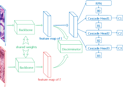 Figure 1 for Domain Adaptive Cascade R-CNN for MItosis DOmain Generalization  Challenge