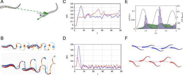 Figure 2 for Efficient collective swimming by harnessing vortices through deep reinforcement learning