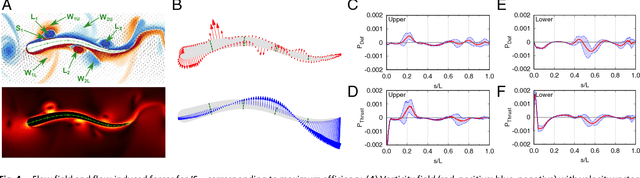 Figure 4 for Efficient collective swimming by harnessing vortices through deep reinforcement learning