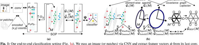 Figure 1 for Power Normalizations in Fine-grained Image, Few-shot Image and Graph Classification