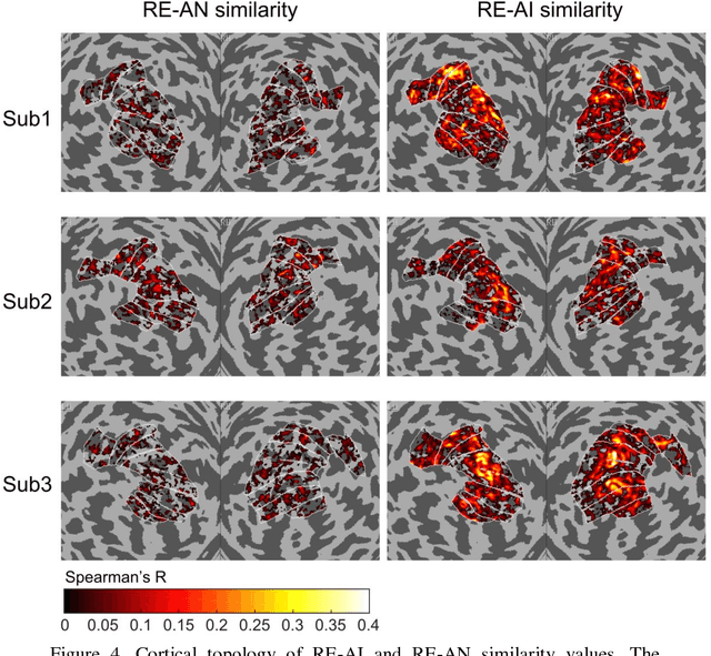 Figure 4 for Dissociable neural representations of adversarially perturbed images in deep neural networks and the human brain