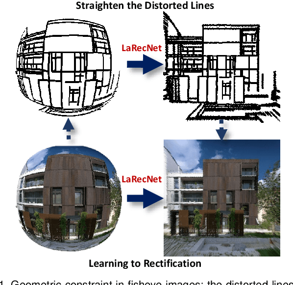 Figure 1 for Fisheye Distortion Rectification from Deep Straight Lines