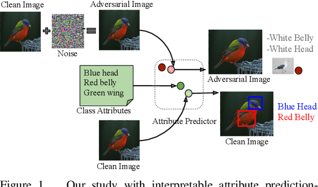 Figure 1 for Understanding Misclassifications by Attributes