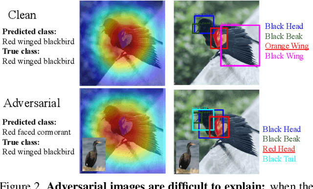 Figure 2 for Understanding Misclassifications by Attributes