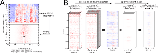 Figure 1 for Gradient-Adjusted Neuron Activation Profiles for Comprehensive Introspection of Convolutional Speech Recognition Models