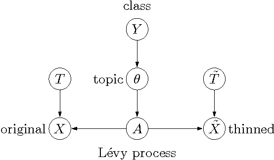 Figure 2 for Data Augmentation via Levy Processes