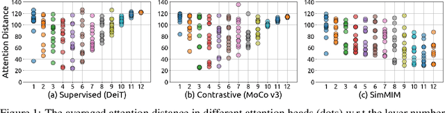 Figure 1 for Revealing the Dark Secrets of Masked Image Modeling