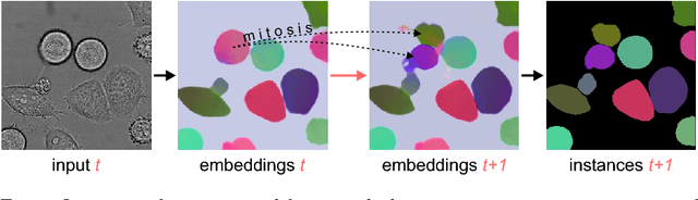 Figure 1 for Instance Segmentation and Tracking with Cosine Embeddings and Recurrent Hourglass Networks