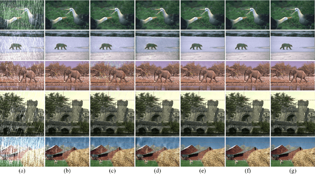 Figure 4 for Single Image Deraining via Rain-Steaks Aware Deep Convolutional Neural Network