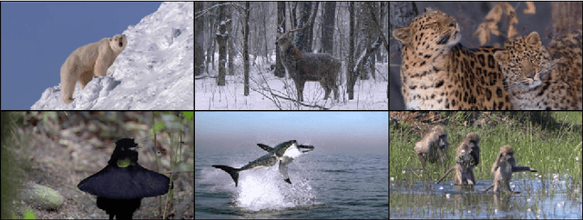 Figure 1 for Co-Regularized Deep Representations for Video Summarization