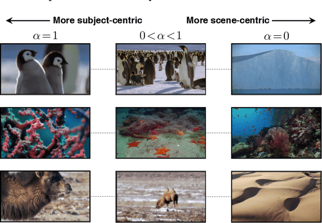 Figure 4 for Co-Regularized Deep Representations for Video Summarization