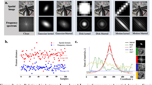 Figure 3 for Spectrum-to-Kernel Translation for Accurate Blind Image Super-Resolution