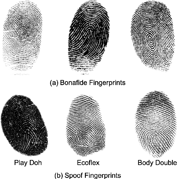 Figure 1 for Universal Material Translator: Towards Spoof Fingerprint Generalization