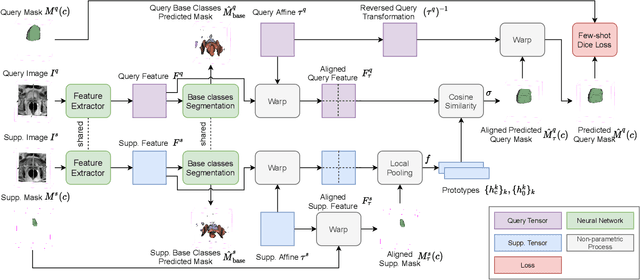 Figure 1 for Few-shot image segmentation for cross-institution male pelvic organs using registration-assisted prototypical learning