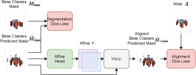 Figure 3 for Few-shot image segmentation for cross-institution male pelvic organs using registration-assisted prototypical learning