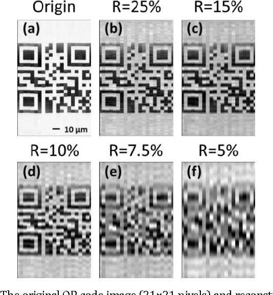 Figure 4 for High-speed real-time single-pixel microscopy based on Fourier sampling